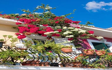 最美陽(yáng)臺(tái)改造案例，4㎡的＂秘密花園＂！