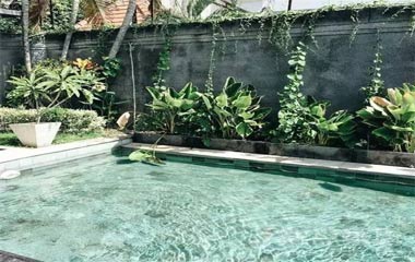 在自家后院挖個游泳池,連鄰居看到都羨慕不已