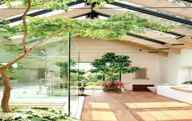 別以為用綠植點綴家，只是買盆植物那么簡單