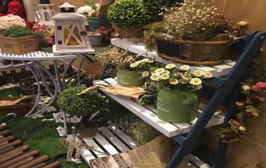 情人節還訂什么酒店！家布置成這樣，秒殺一切浪漫！