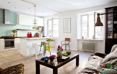 瑞典 63平方米混搭風(fēng)一居