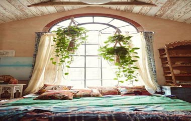 這樣裝，我能在臥室里給你變出一個森林來